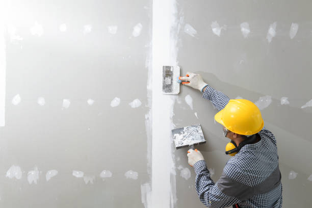 Best Biohazard Mold Removal  in Lyons, KS