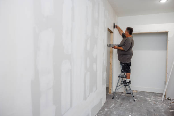 Best Commercial Mold Inspection  in Lyons, KS