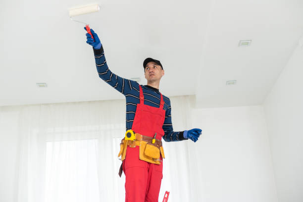 Best Mold Damage Restoration  in Lyons, KS