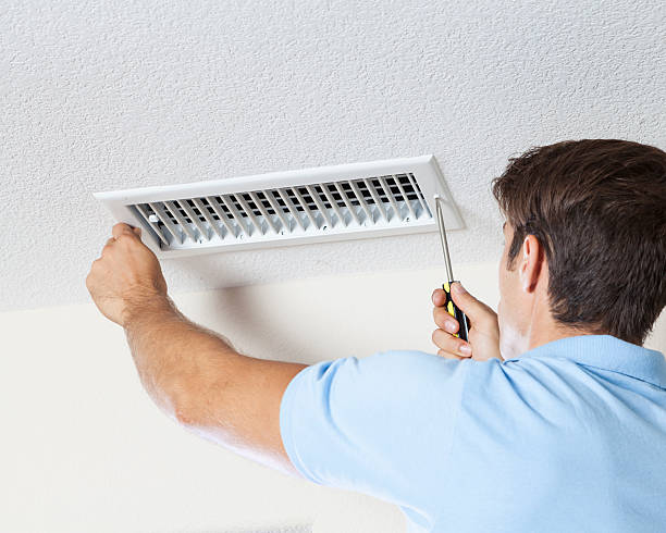Best Basement Mold Removal  in Lyons, KS