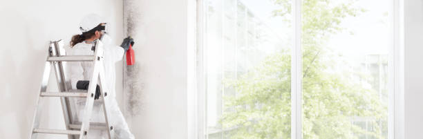 Best Residential Mold Inspection & Testing  in Lyons, KS
