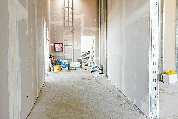 Best Real Estate Mold Inspection  in Lyons, KS