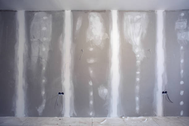 Best Emergency Mold Remediation  in Lyons, KS