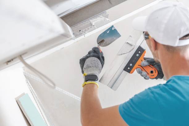 Best Emergency Mold Remediation  in Lyons, KS